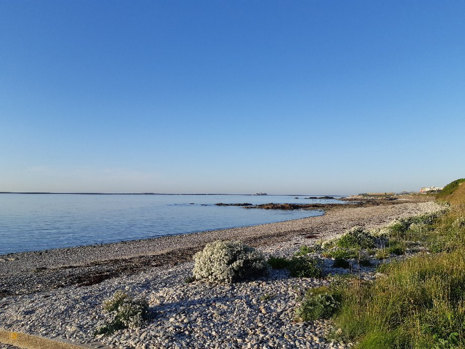 Plage de la Saline-瑟堡-奥克特维尔必去景点
