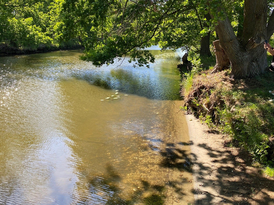 Hotel Wilder Eber主图