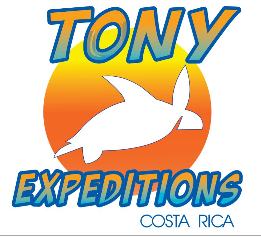Tony Expeditions景点图片