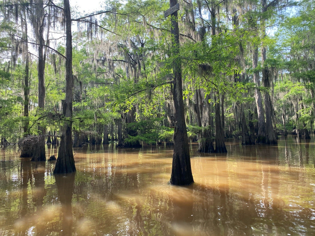 Caddo Outback-Karnack必去景点