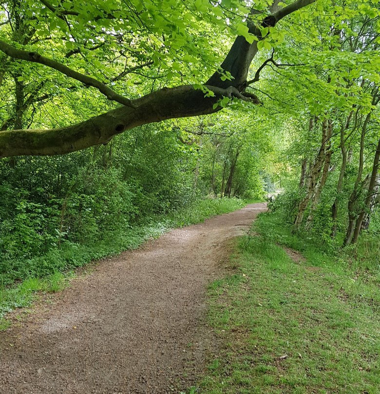 Thornley Woodlands Centre-Rowlands Gill必去景点