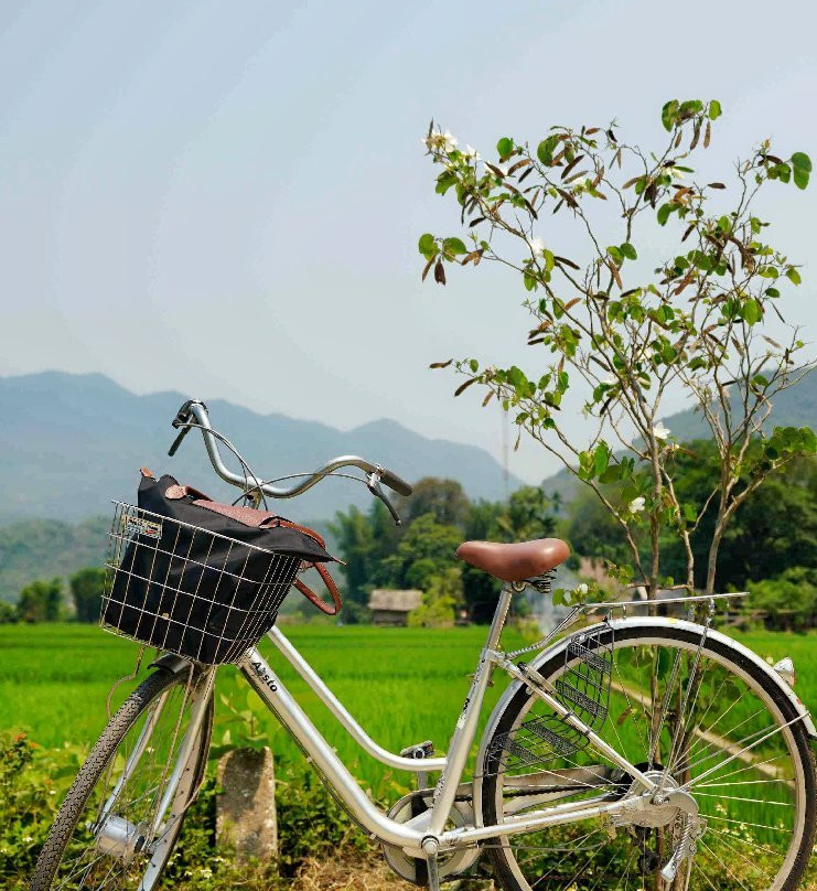 Mai Chau Tours景点图片