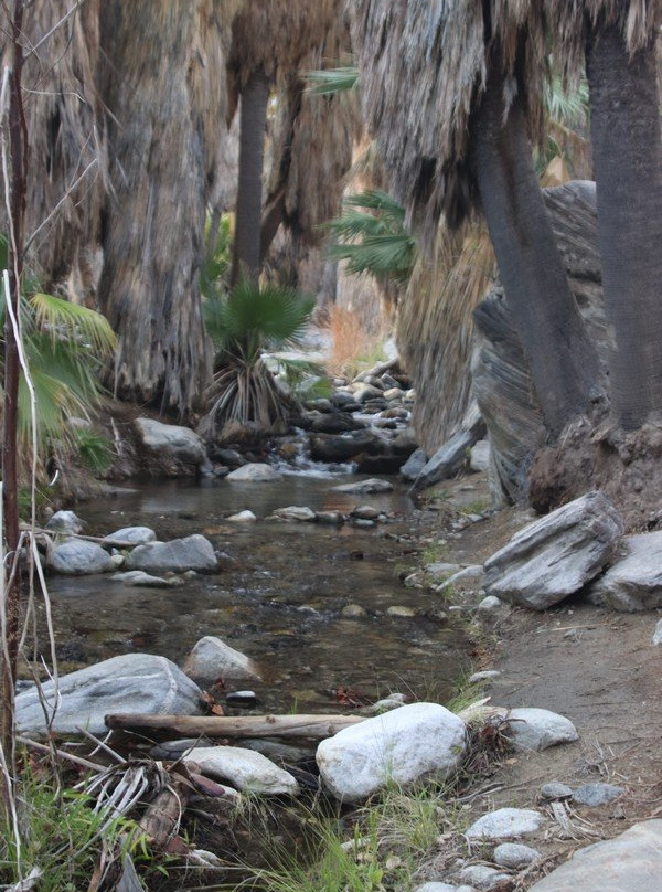 印地安峡谷-棕榈泉市必去景点