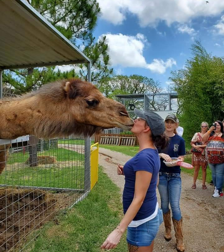Greater Wynnewood Exotic Animal Park-Wynnewood必去景点