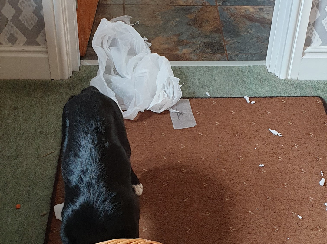 Castle Eden旅游攻略图片