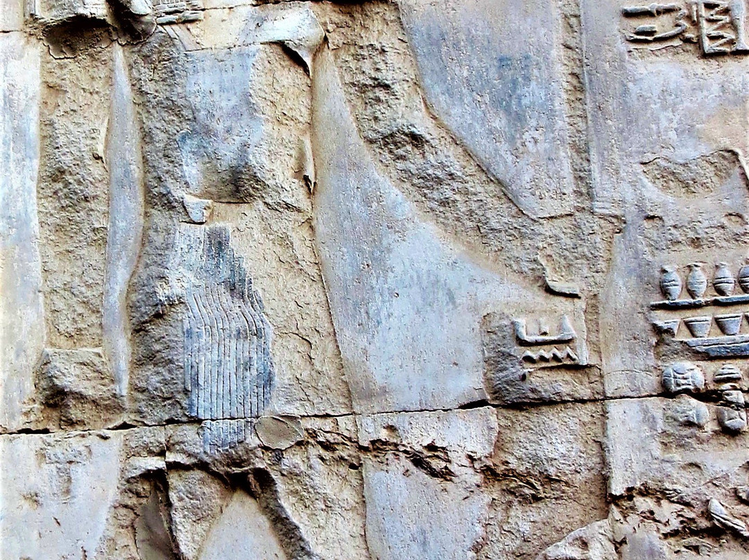 Temple of Kom Ombo-Kom Ombo必去景点