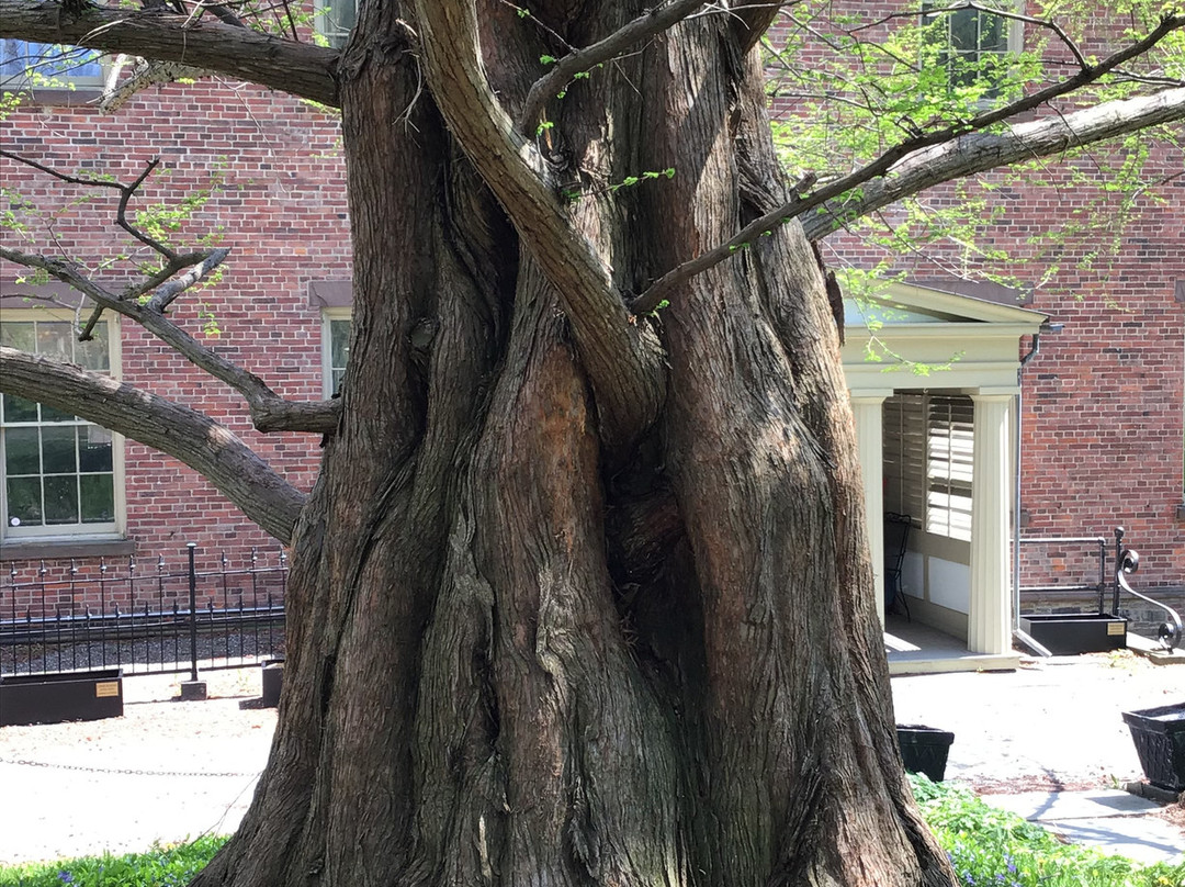 Albany County Historical Association-奥尔巴尼必去景点