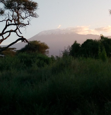 Ekea Safaris-迪亚尼必去景点