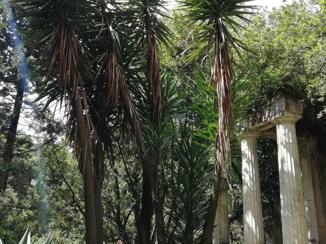 Giardino Inglese景点图片