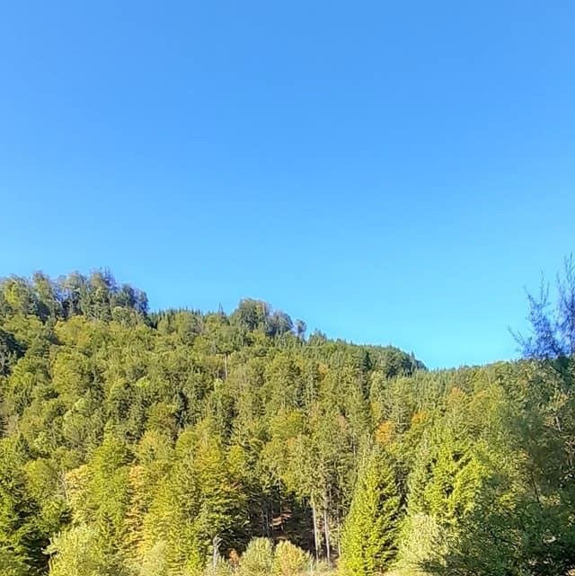 National Park Hohe Tauern景点图片