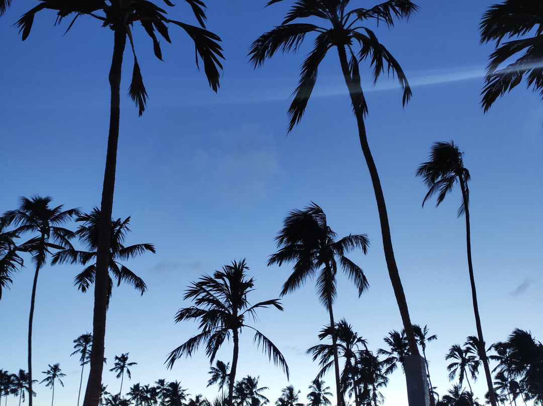 Grand Oca Maragogi Resort主图