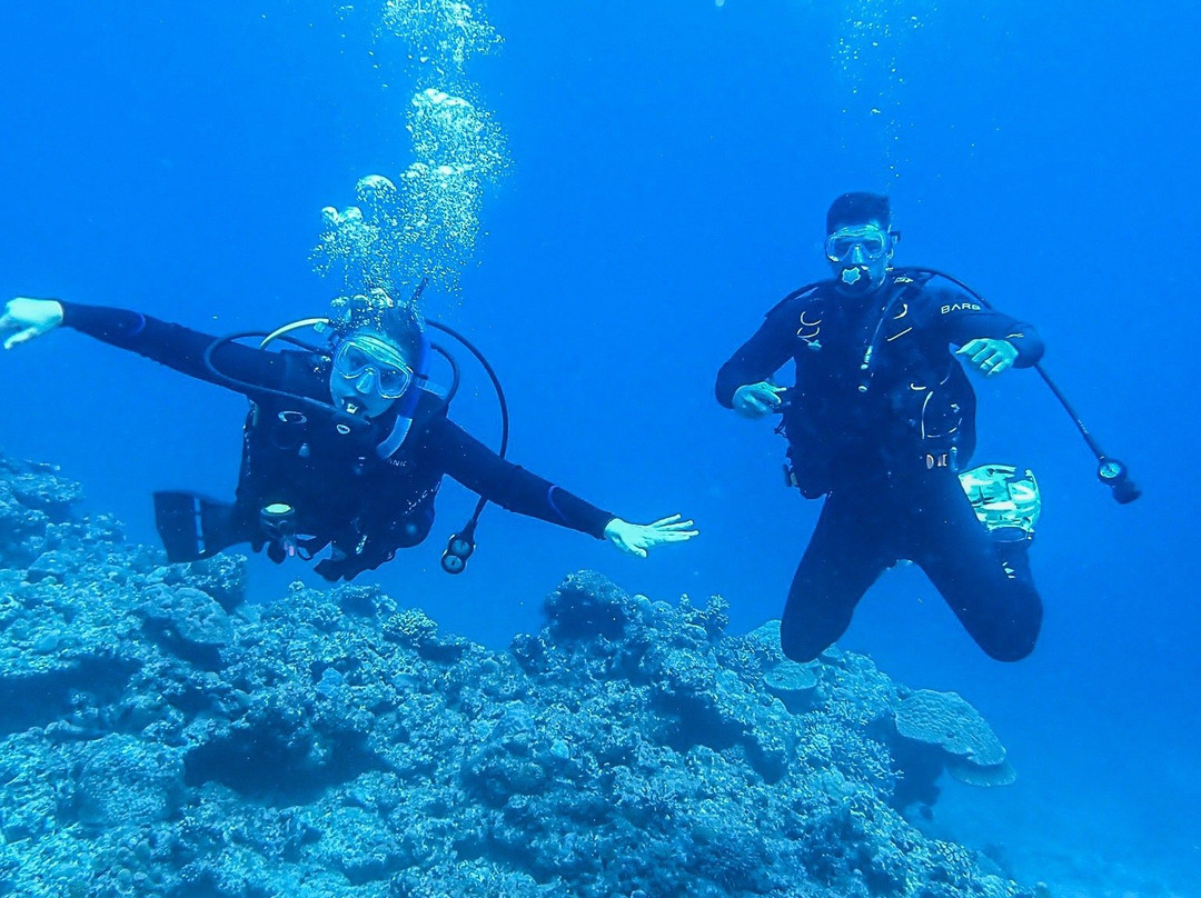 Mermaid Island Diving景点图片