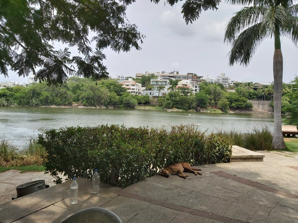 Lotus Pond-海德拉巴必去景点