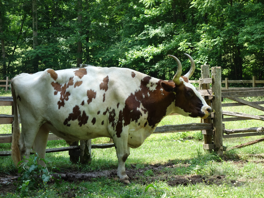 The Homeplace-田纳西必去景点