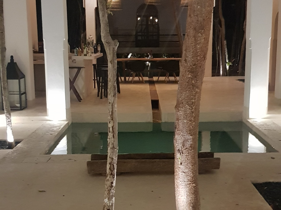 Ambre & Epices Jungle Hotel & Spa主图