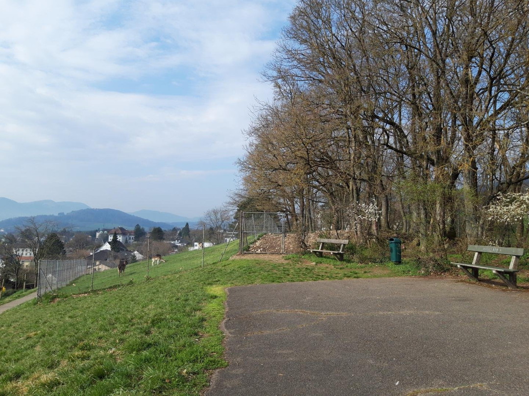 Parc Des Boulaines-德莱蒙必去景点