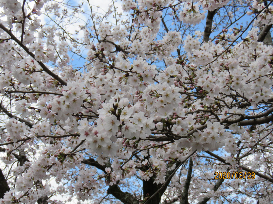 Nagatoromachi Tourist Information Center-长瀞町必去景点