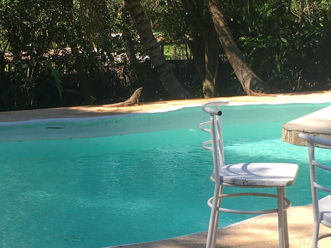 Hotel Casa Colombre Palenque主图