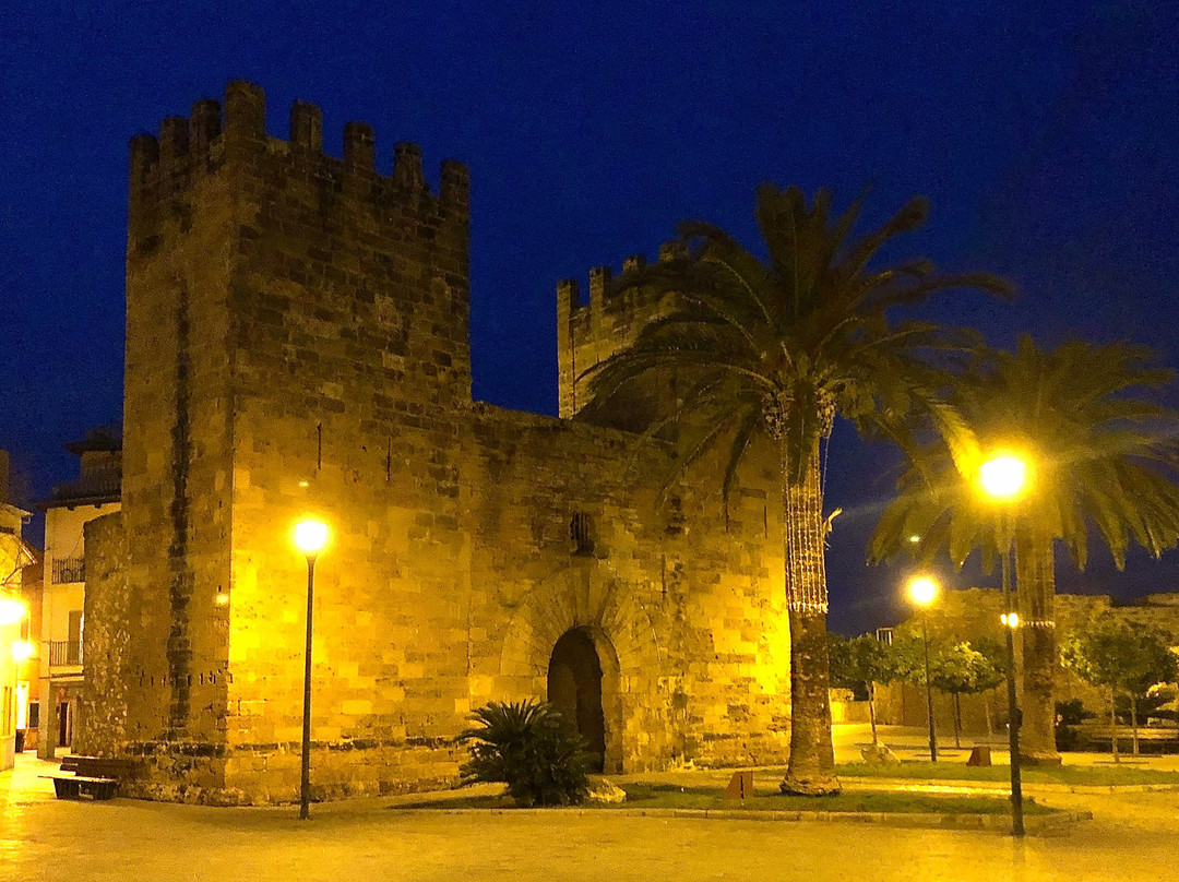 Porta del Moll景点图片