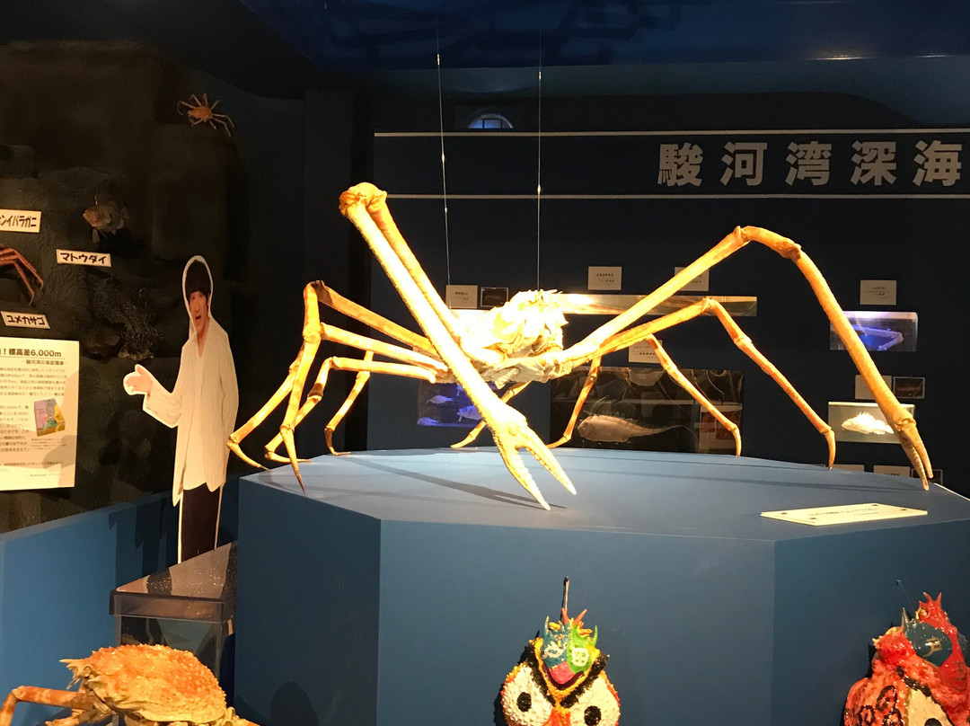 Heda Port景点图片