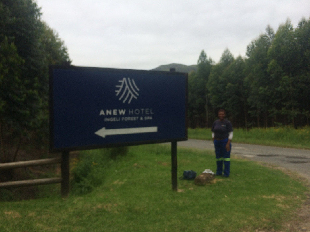 Anew Resort Ingeli Forest主图