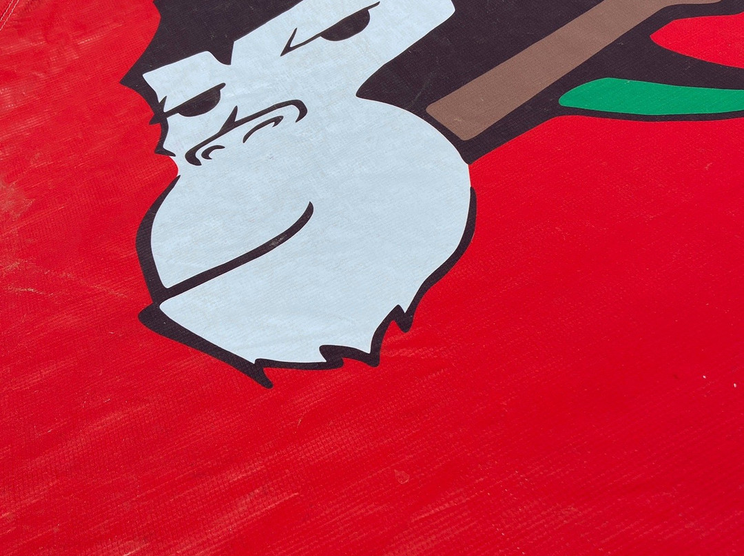 Monkey Fish-韦拉克鲁斯必去景点