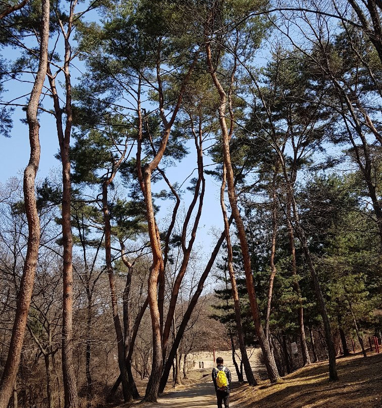 Donggureung-九里市必去景点