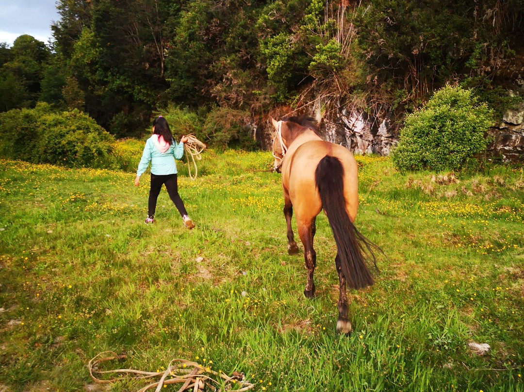 Alto Murta-Bahia Murta必去景点