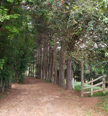 Pousada Lua Luana主图