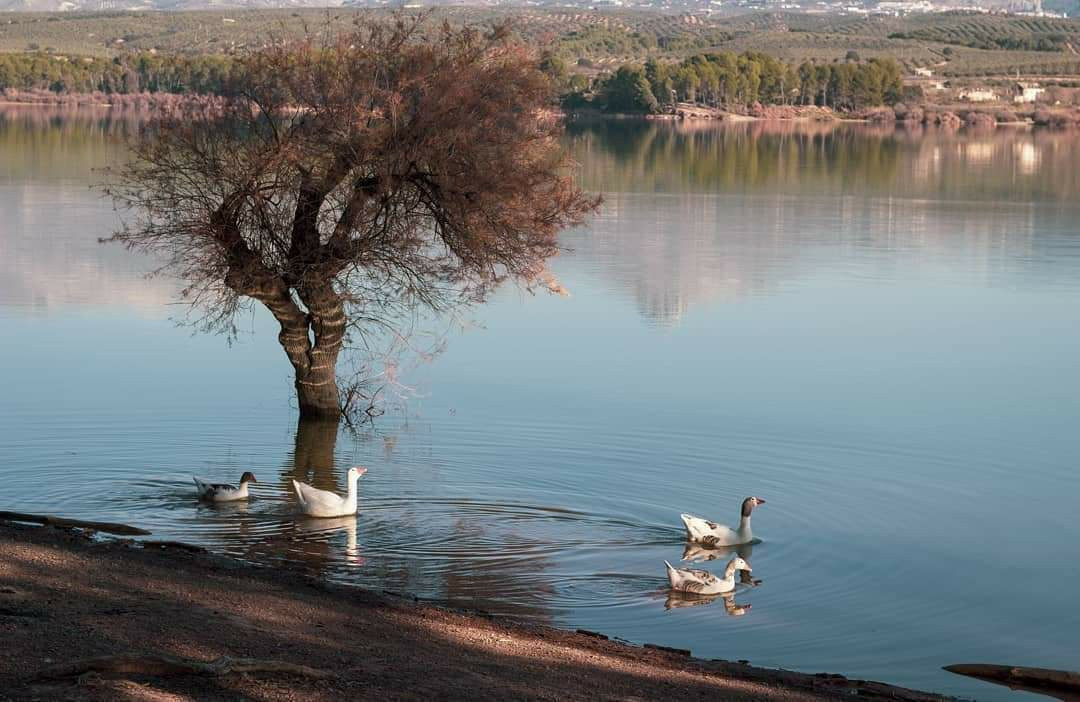 Embalse de Cubillas-Albolote必去景点