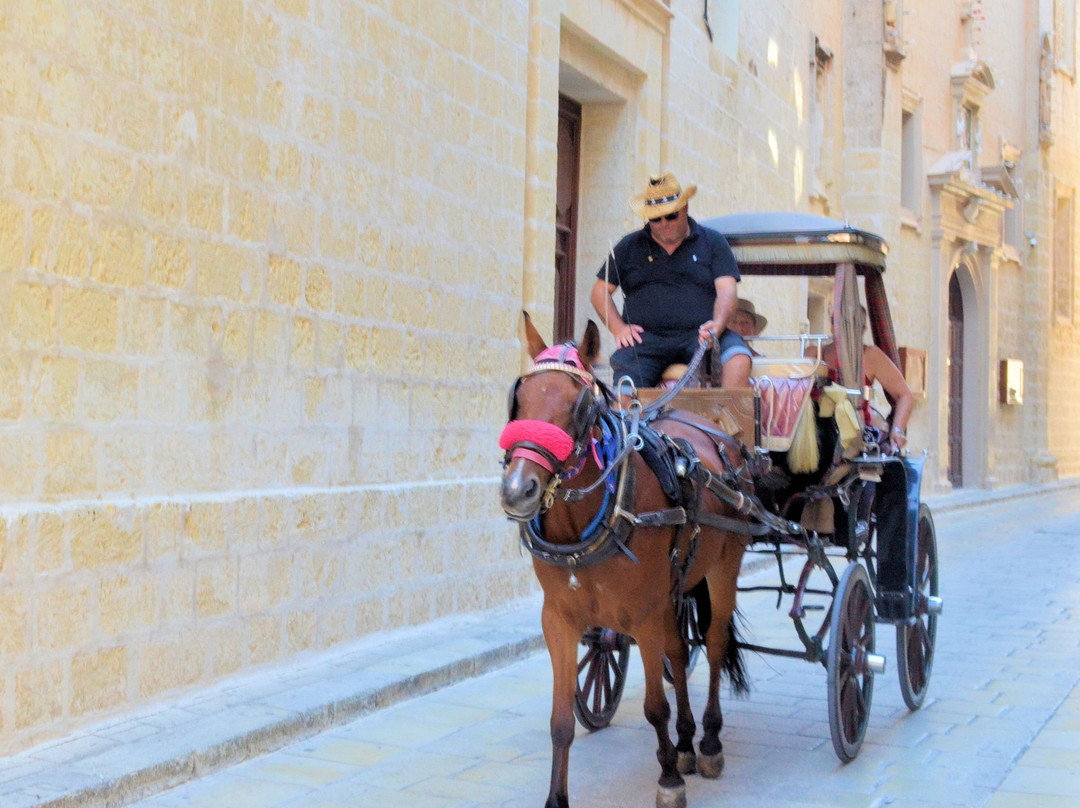 Villegaignon Street-姆迪纳必去景点