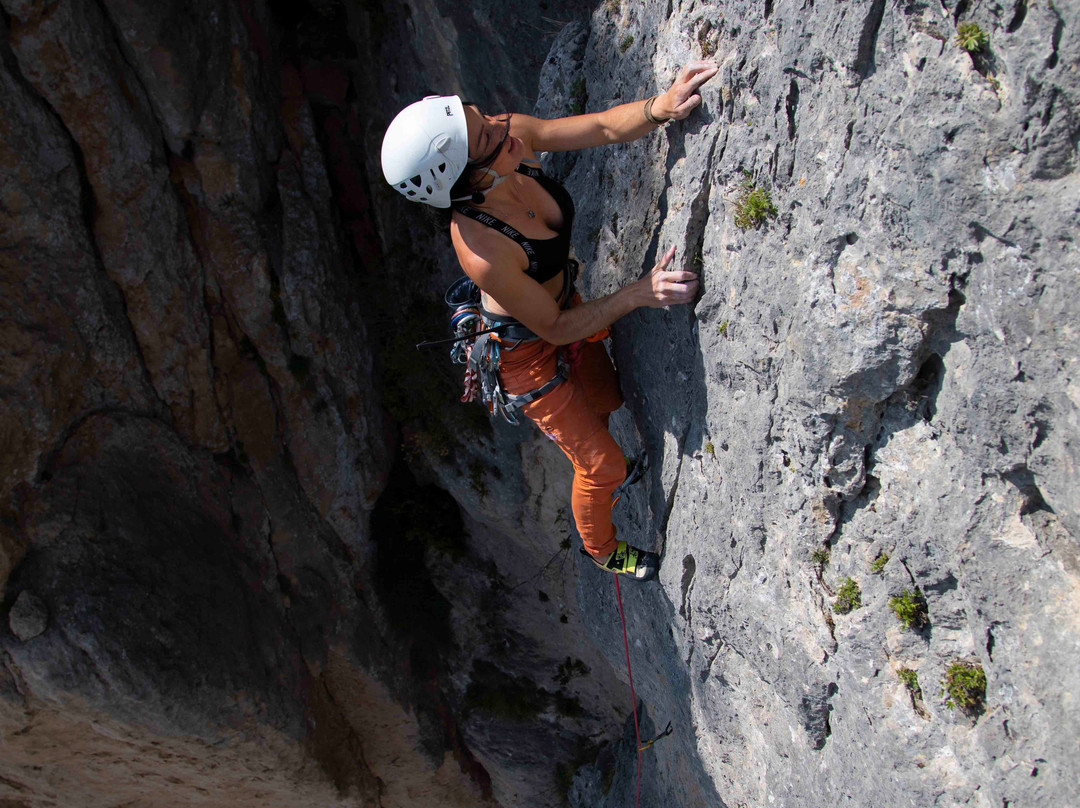 Office de Tourisme Millau Grands Causses-米约必去景点