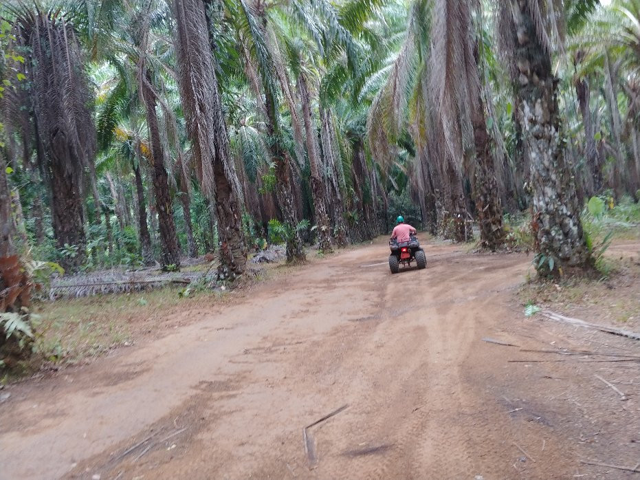 Thai'd Up Adventures景点图片