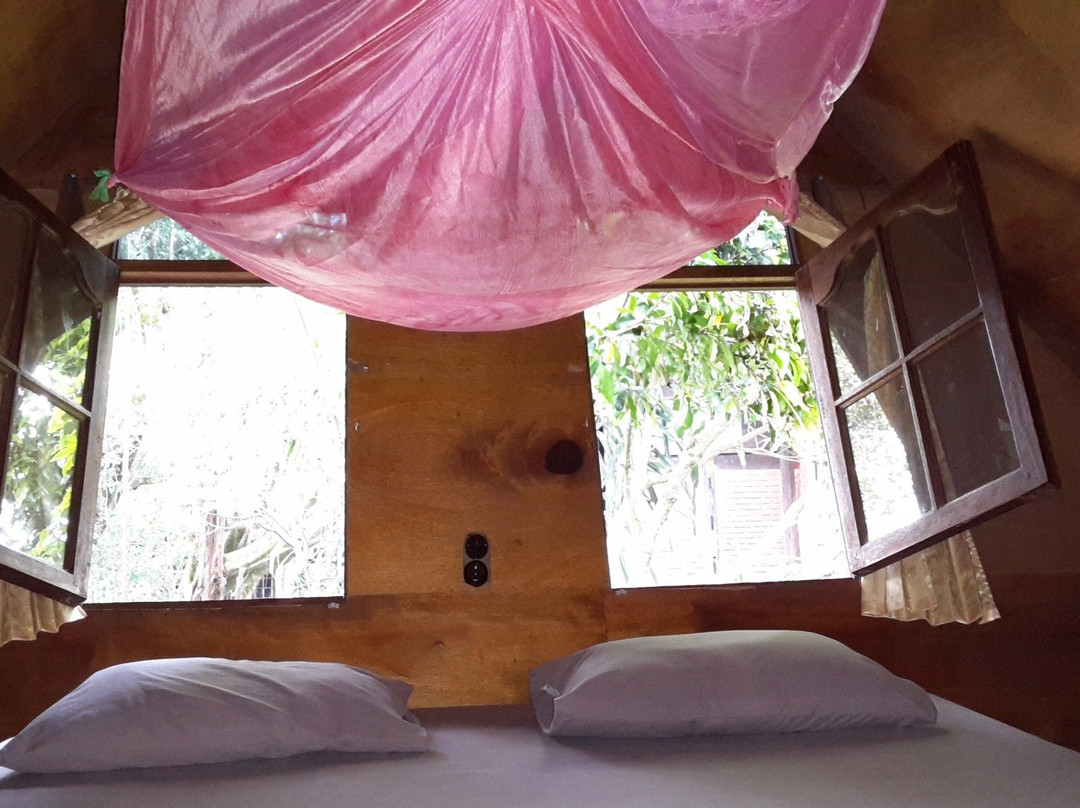 Liberta Homestay主图