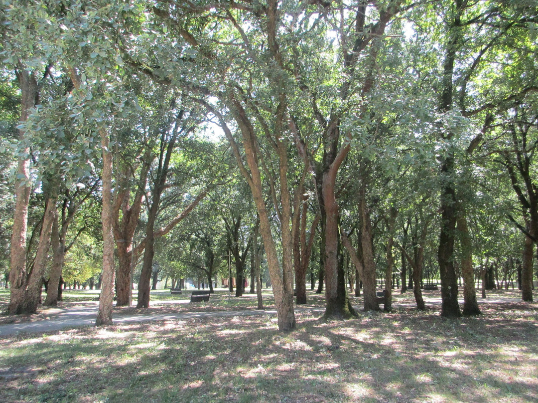 Parque Urbano Sara Moreira景点图片