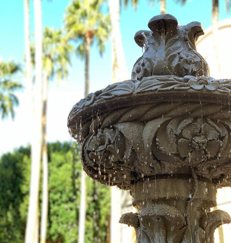 坦帕米慎棕榈酒店主图