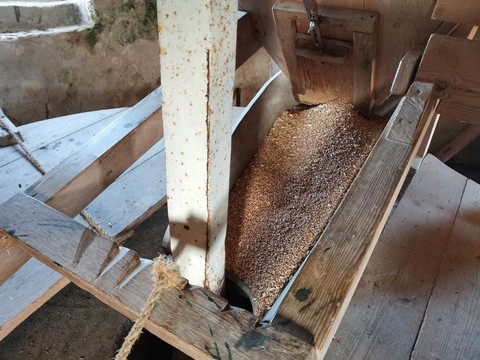 Molen De Windvang-Goedereede必去景点