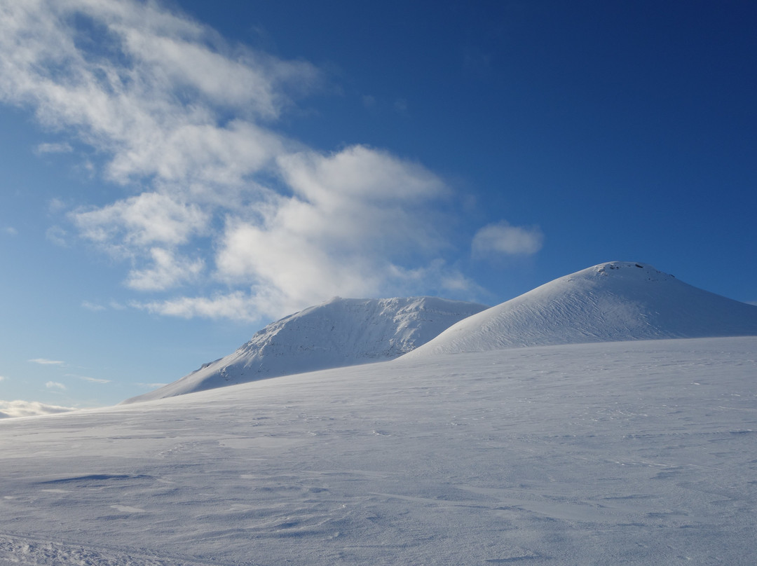 Tundra Camp景点图片