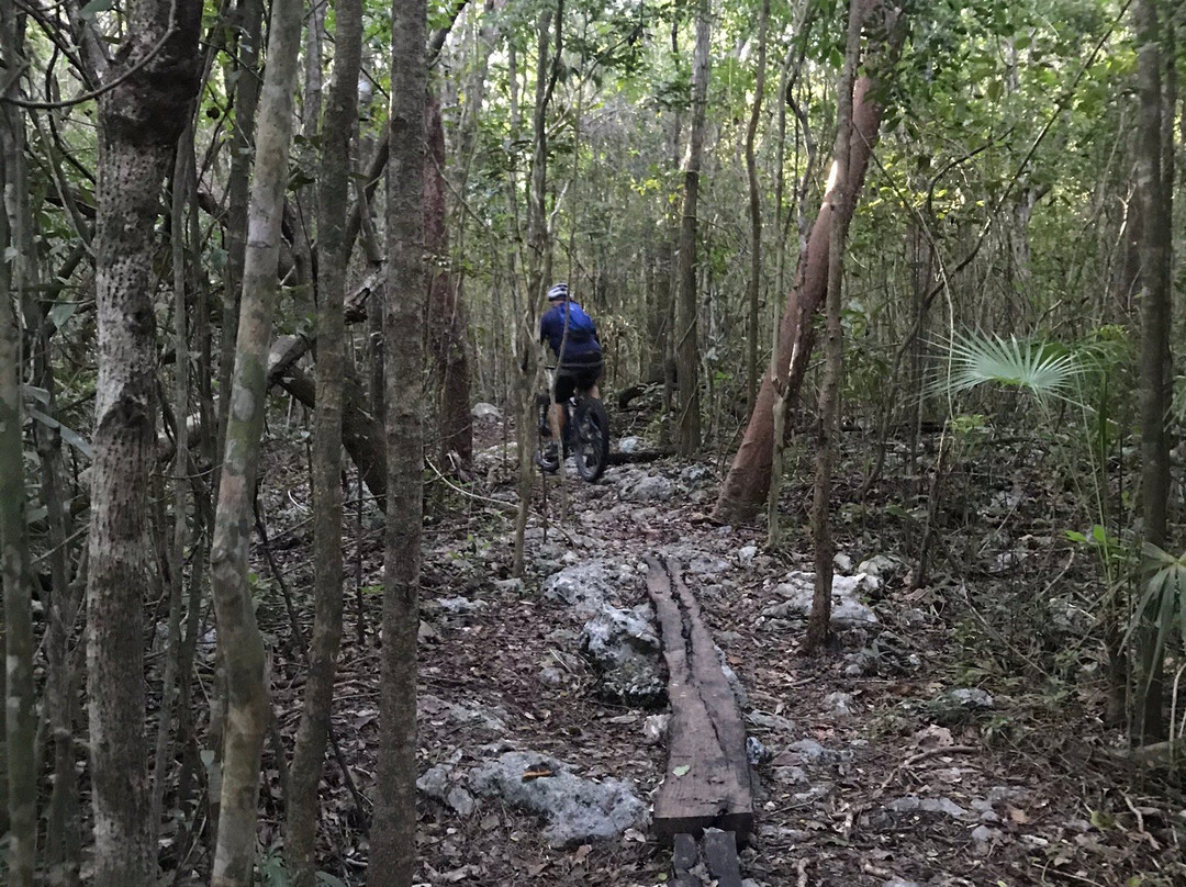 Punta Venado Bike Park-普拉亚德尔卡曼必去景点