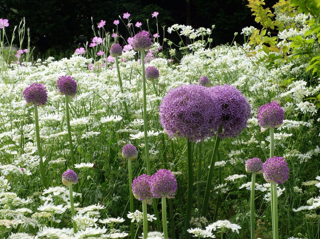 English Garden Minamiaso景点图片