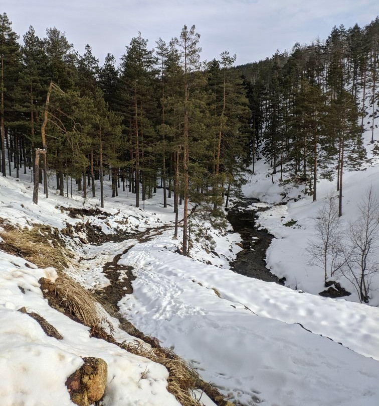 Divčibare Ski Resort-Divcibare必去景点