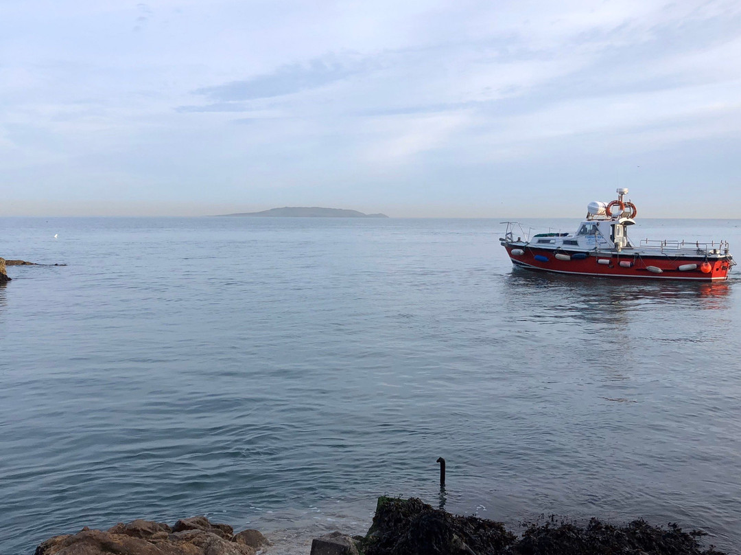 Howth Cliff Cruises