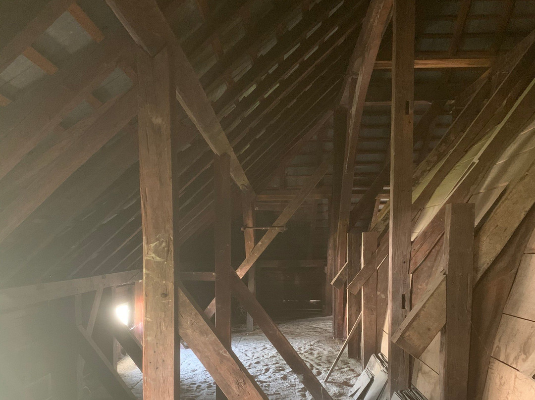 Neveh Shalom Synagogue-帕拉马里博必去景点