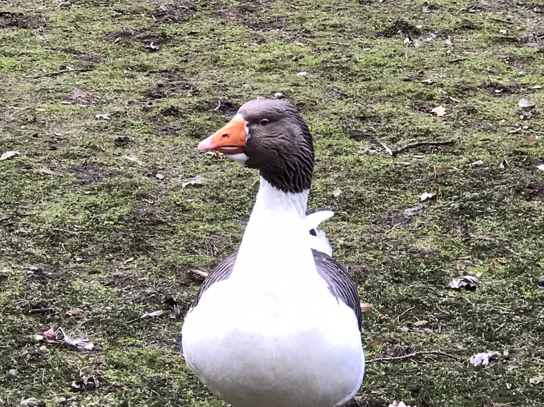Tierpark Tannenbusch-Dormagen必去景点