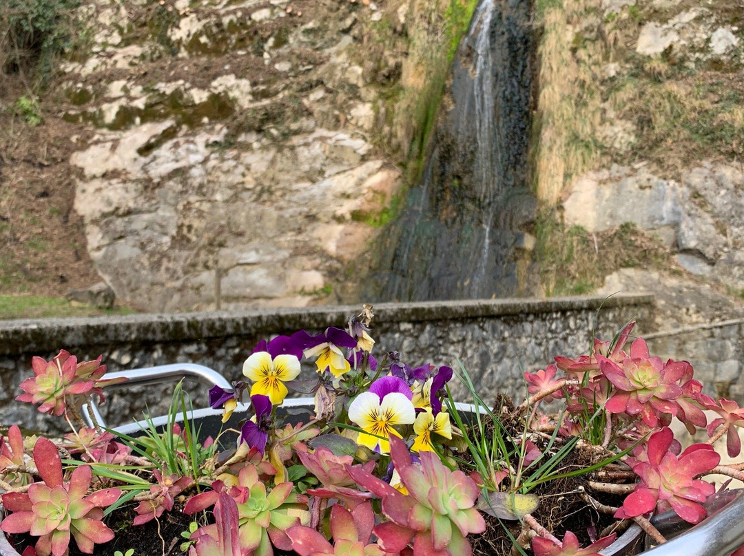 La Rosada景点图片