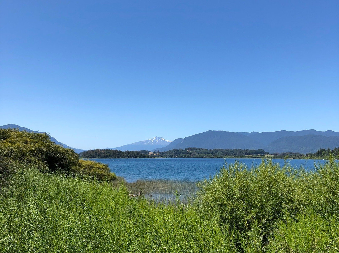 Lago Panguipulli-Panguipulli必去景点
