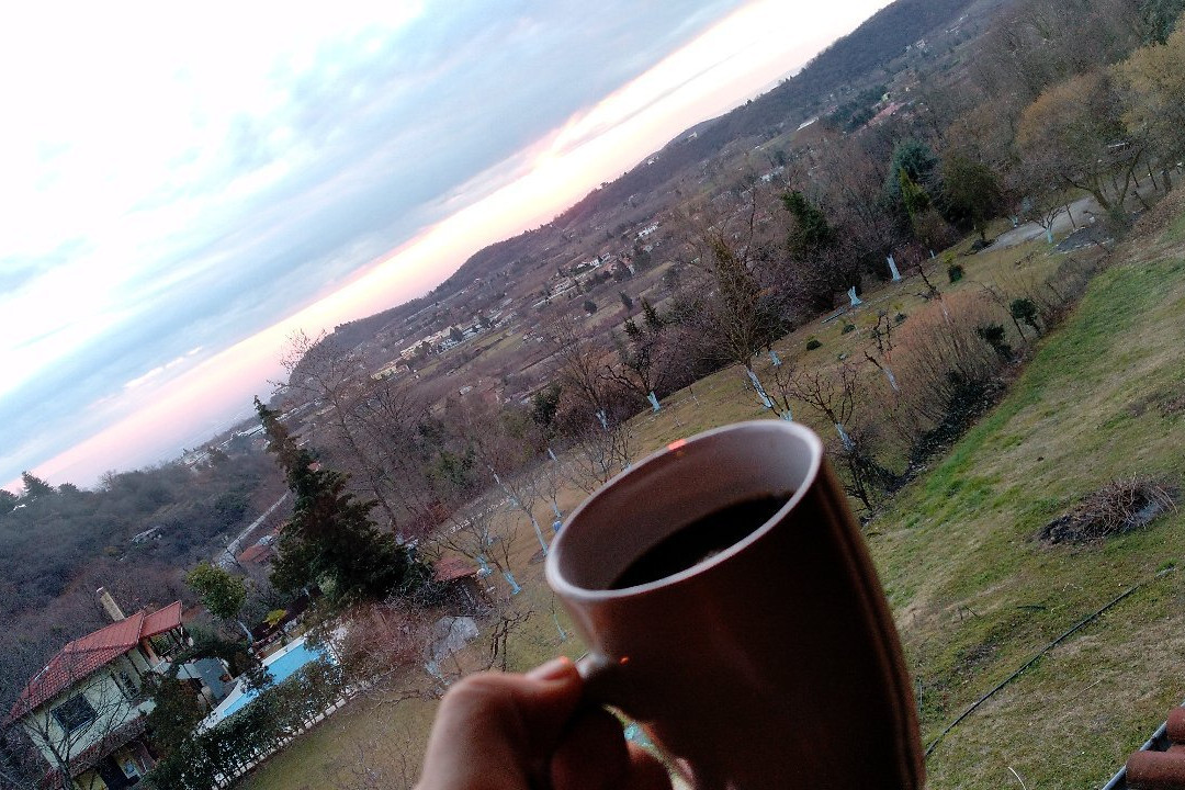 Guesthouse Militsa主图