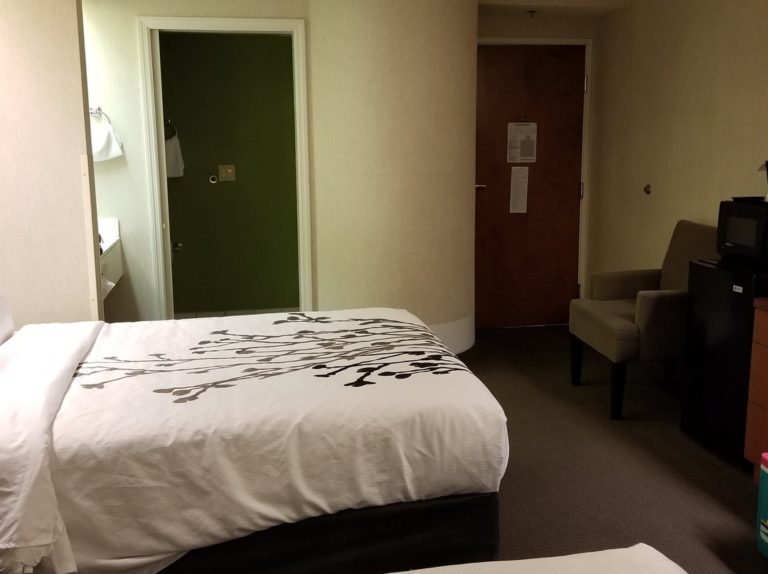 Sleep Inn Murfreesboro主图