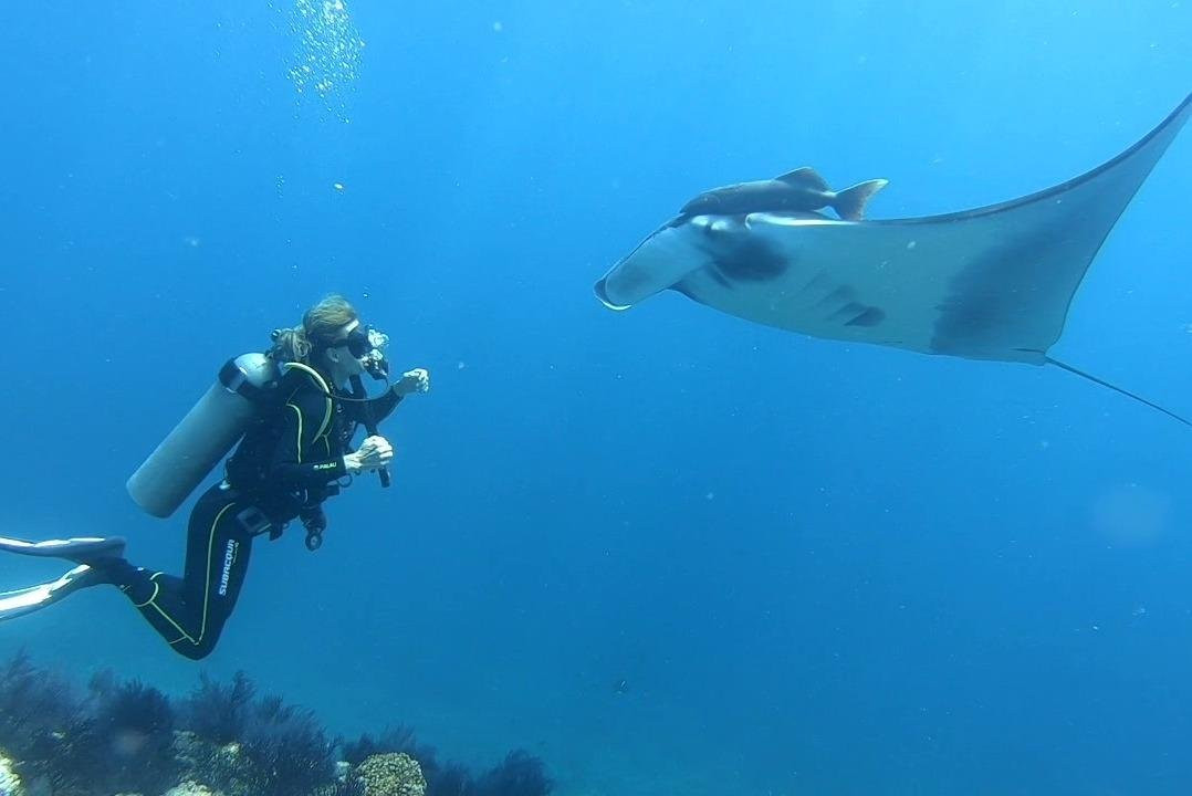 Sea Lions Dive Center-拉巴斯必去景点