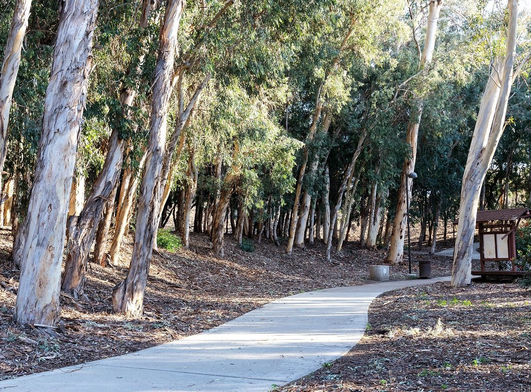 Serrano Creek Community Park-莱克福里斯特必去景点